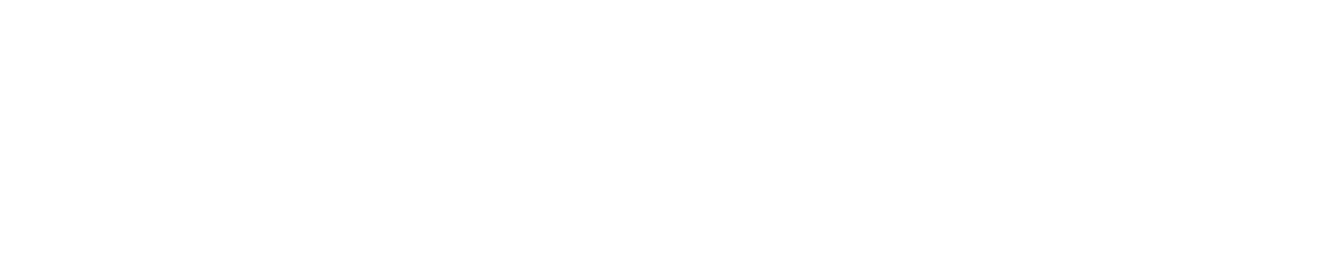 NordDEC Logo - White